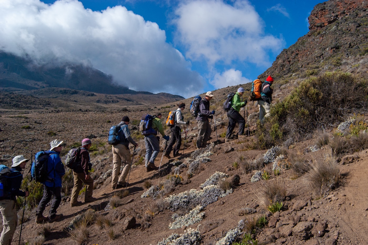 Kilimanjaro trekkers