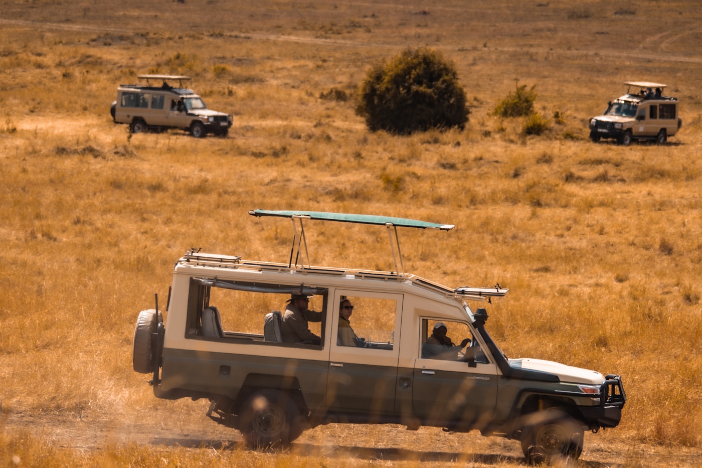 Safari vehicles